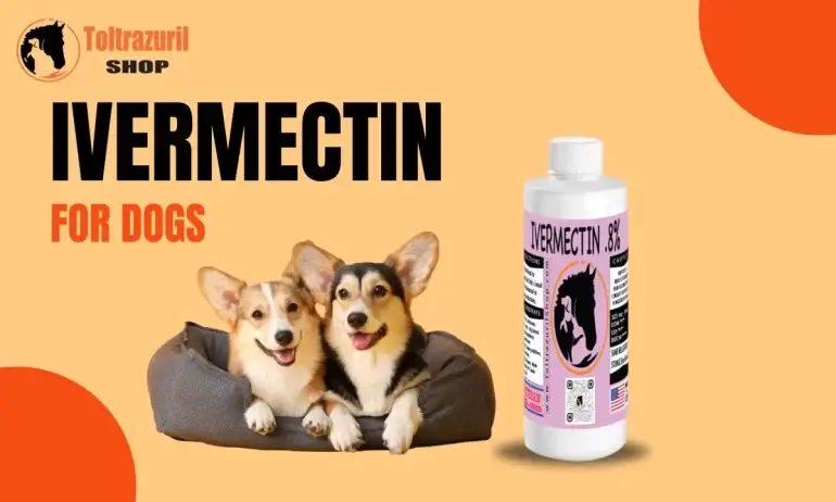 unlocking the potential of ivermectin for dogs: dosage, safety, and effective use ivermectin dosage for dogs