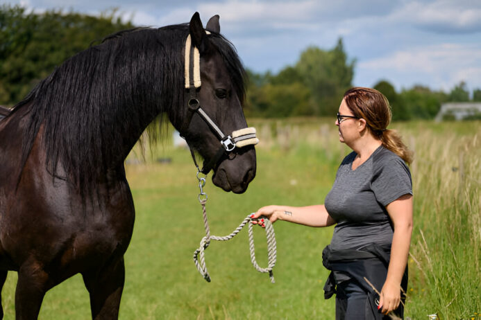 toltrazuril and dmso for horses- a comprehensive guide to epm treatment toltrazuril and dmso for horses