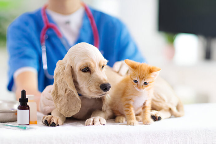 baycox toltrazuril for sale - a comprehensive guide to treating coccidia in animals baycox toltrazuril for animals