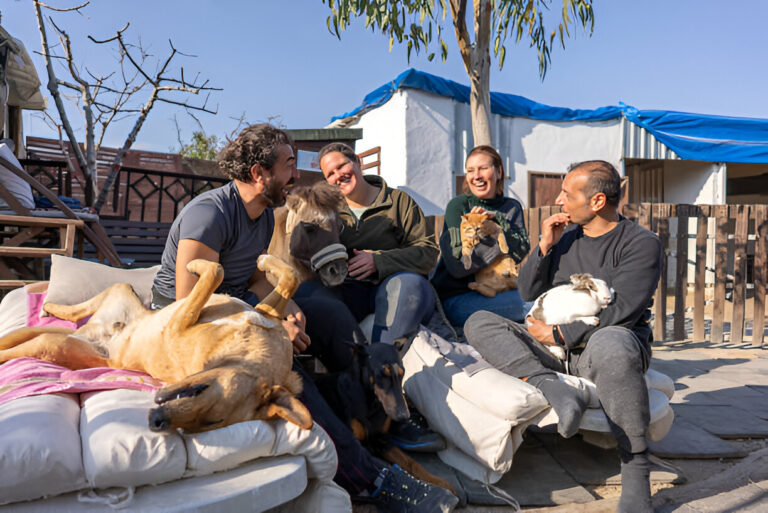 Ponazuril Dosage Chart For Horses, Dogs, And Cats Accurate Treatment