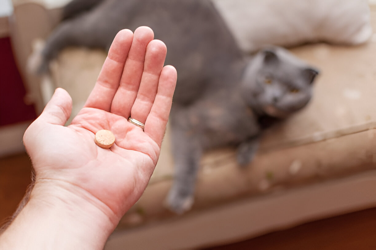Albon dosage for pets