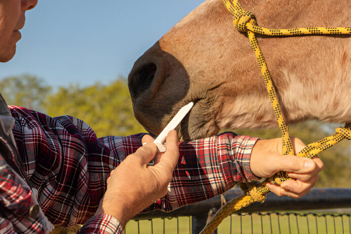 famotidine vs omeprazole- a comprehensive comparison omeprazole paste for horses - famotidine and omeprazole