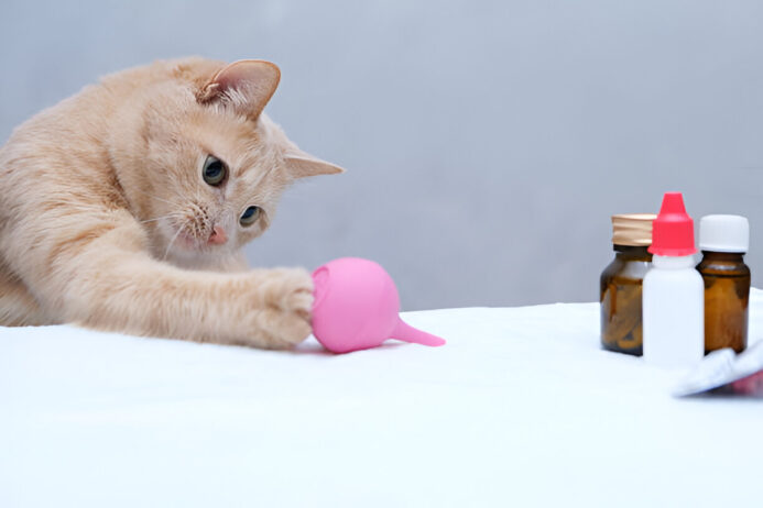 ponazuril liquid solution for cats ponazuril 10% liquid solution for cats