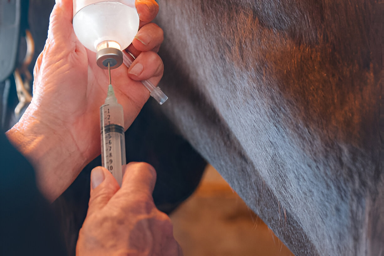 Toltrazuril for Racehorses